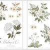 Craft Consortium - Belle Fleur disainpaberite komplekt (12x12in) - Image 5